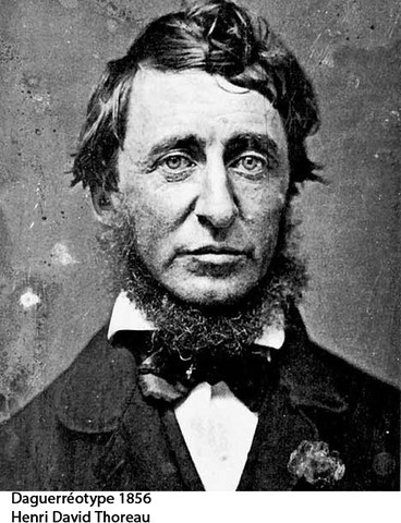 daguerreotype : David Thoreau 